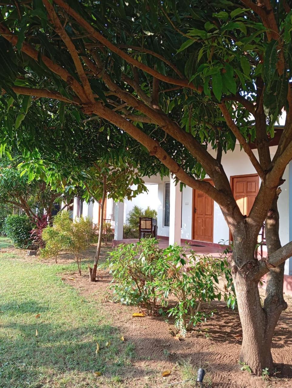 Jeys Place Nilaveli Exterior foto